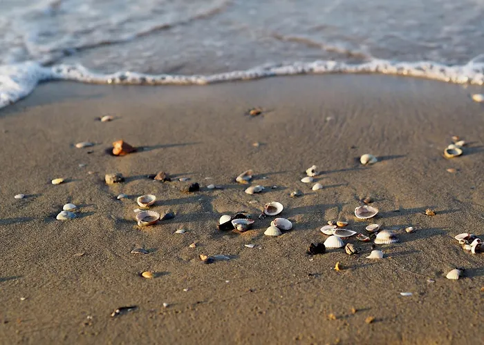 דירה Relaxing With Sea View And Ac